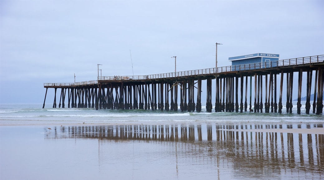 Pismo Beach Pier featuring ranta