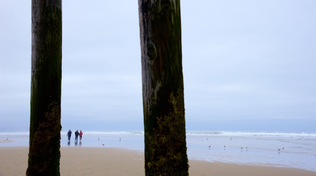 Pismo Beach Pier joka esittää hiekkaranta