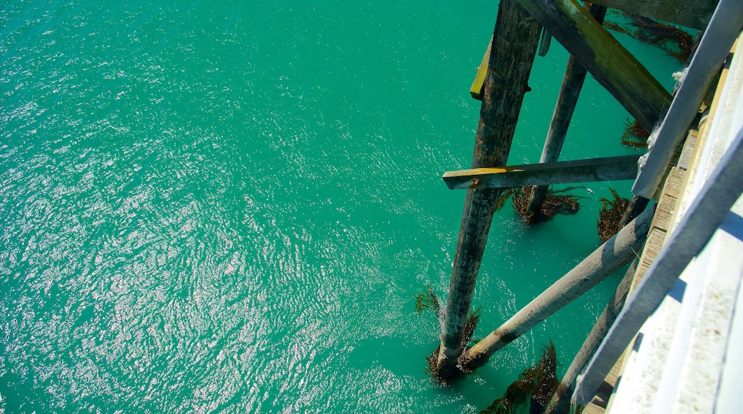 San Simeon Pier mostrando paisagens litorâneas