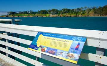 ウィリアム ランドルフ ハースト メモリアル ビーチ サン シメオン旅行 エクスペディア ウィリアム ランドルフ ハースト メモリアル ビーチ サン シメオン旅行 エクスペディア