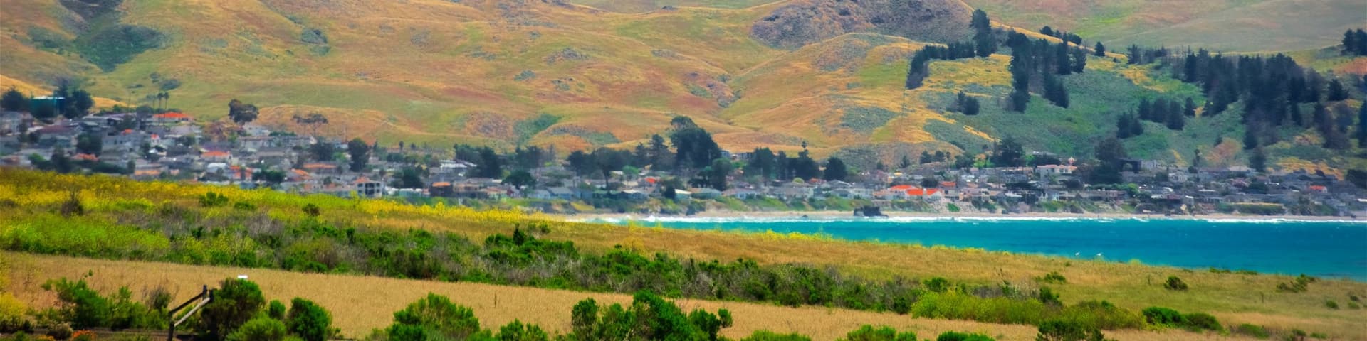 Moonstone Beach Park which includes landscape views