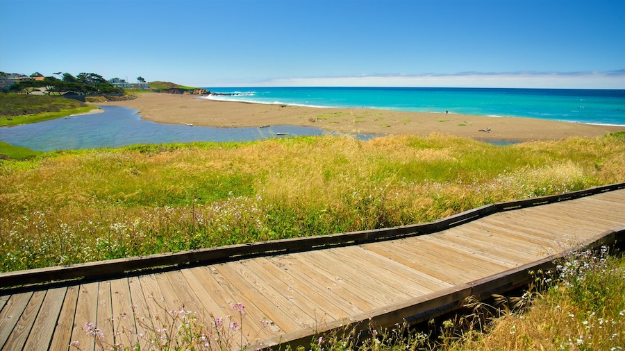 Moonstone Beach Park showing a sandy beach and a park