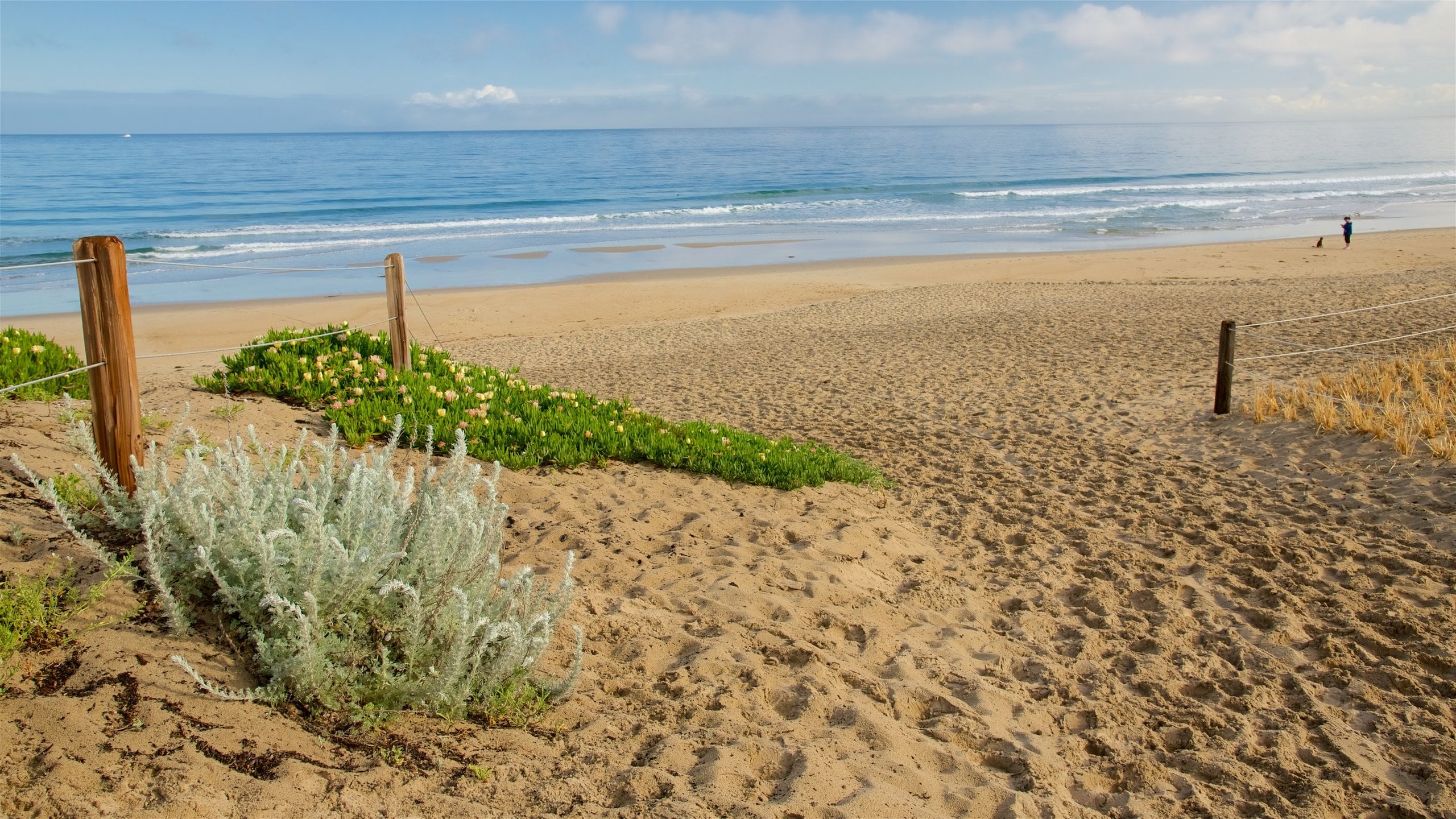 Del Monte Beach Vacation Rentals house rentals & more Vrbo