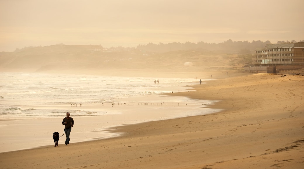 Del Monte Beach bevat een zandstrand en mist of nevel
