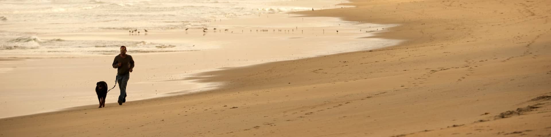 Del Monte Beach showing mist or fog and a sandy beach