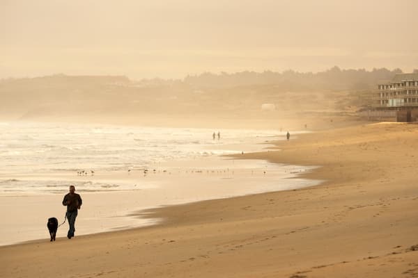 Plage de Del Monte qui includes plage et brume ou brouillard