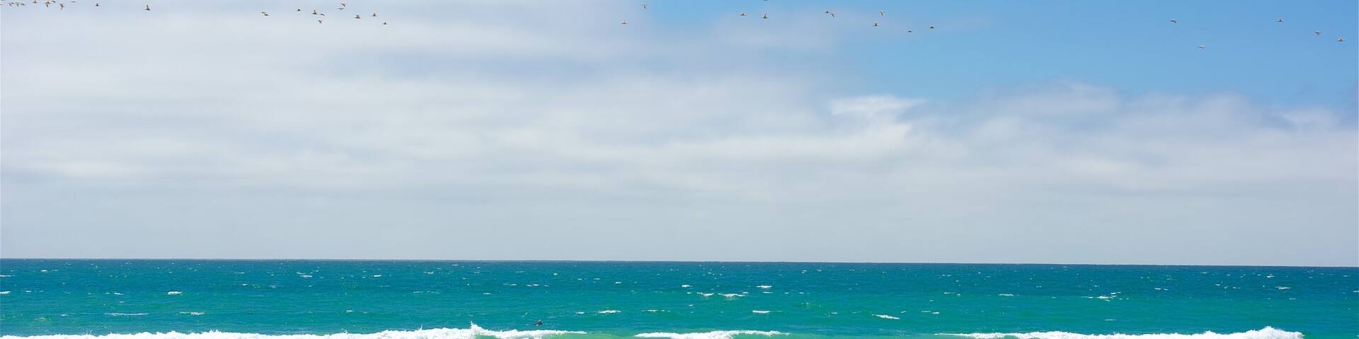 Morro Strand State Beach showing general coastal views and a beach