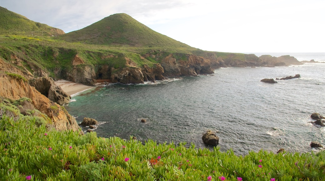 Garrapata Beach som viser klippelandskap, fjell og rolig landskap