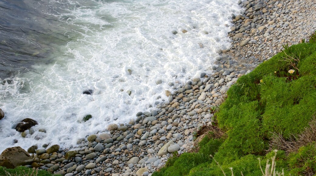 Garrapata Beach showing a pebble beach