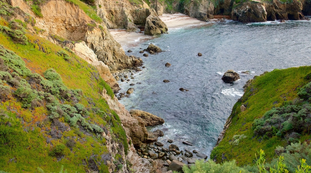 Garrapata Beach som visar klippig kustlinje