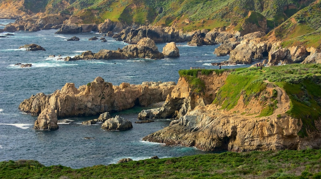 Garrapata Beach som visar klippig kustlinje