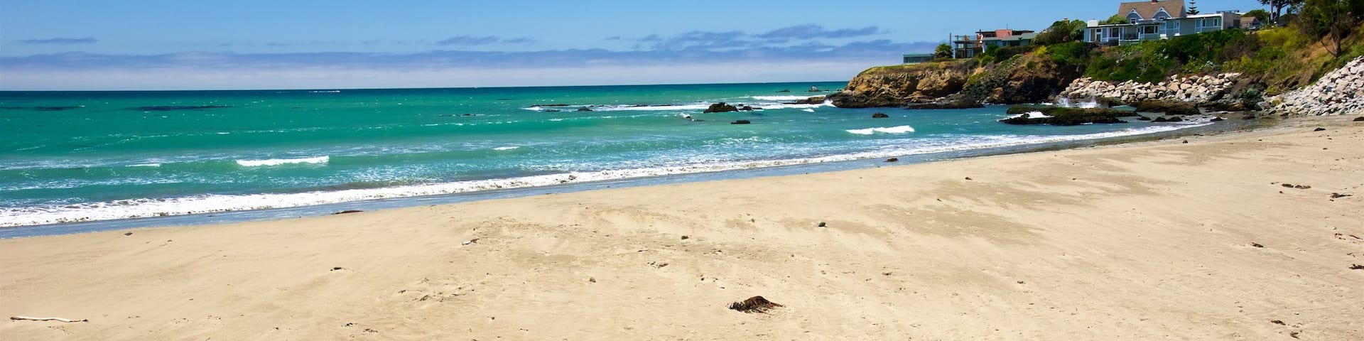 Cayucos State Beach showing a beach