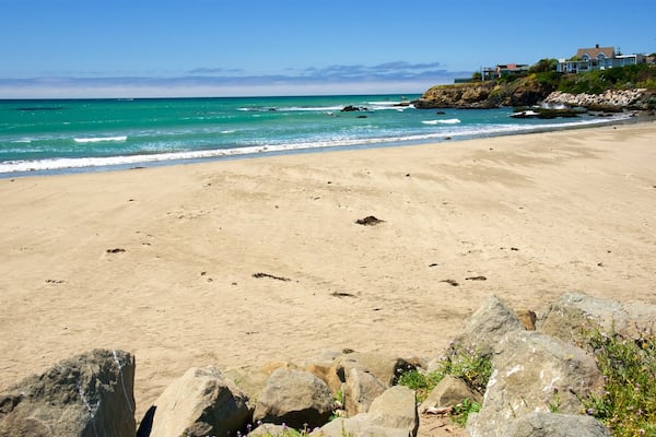 Plage d\'État de Cayucos qui includes plage