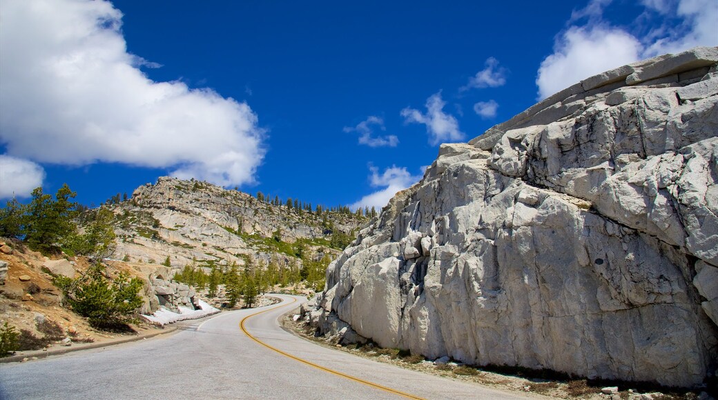 Olmsted Point