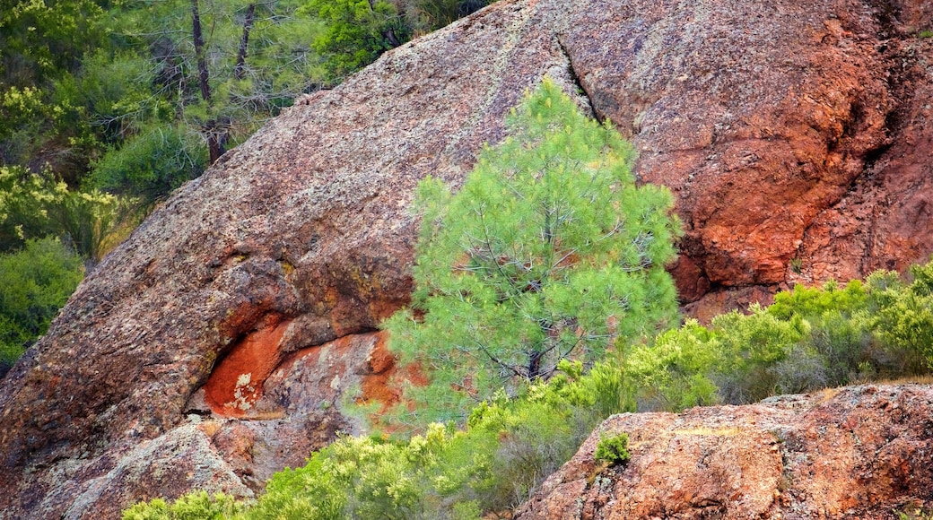 Pinnacles National Park mostrando escenas tranquilas