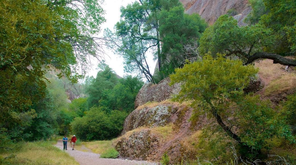 Pinnacles National Park which includes hiking or walking and tranquil scenes