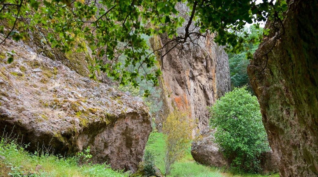 Pinnacles National Park