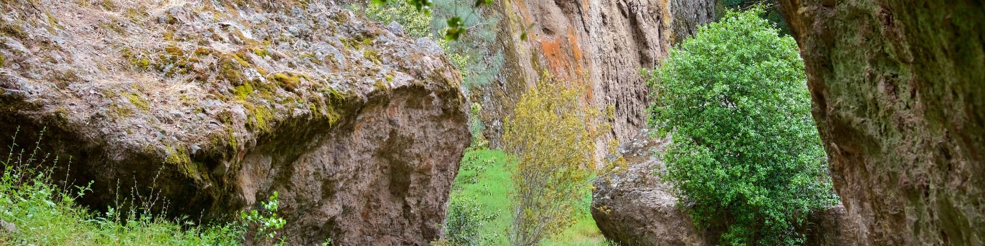 Pinnacles National Park showing tranquil scenes