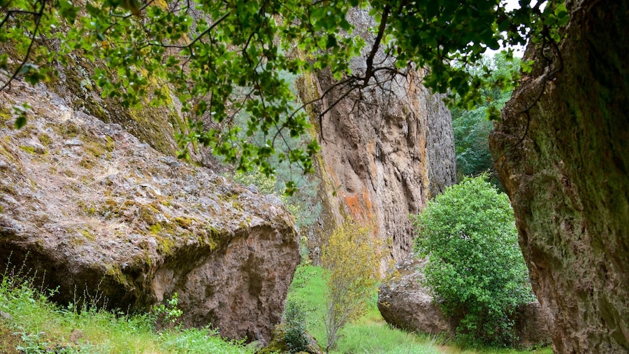 Pinnacles National Park featuring tranquil scenes