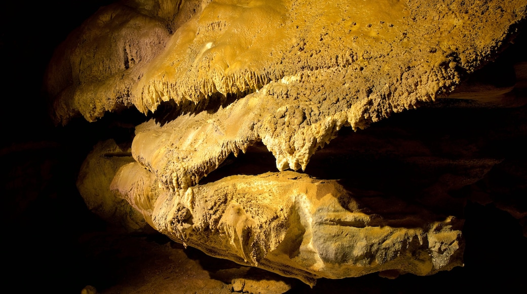 Crystal Cave showing caves