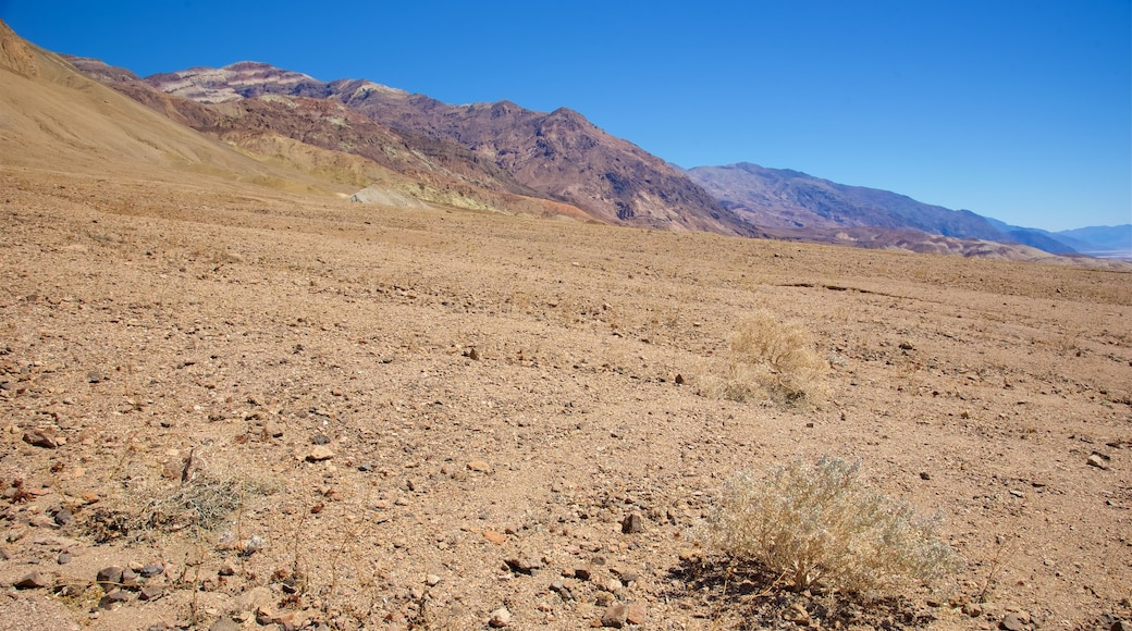 Artists Palette showing landscape views and desert views