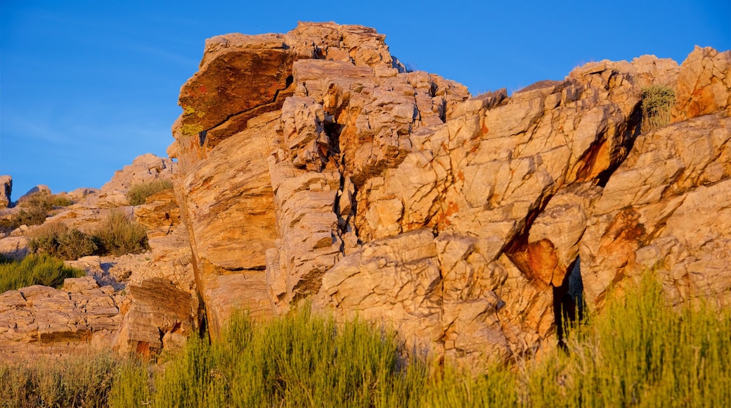 Aguereberry Point showing desert views and a gorge or canyon