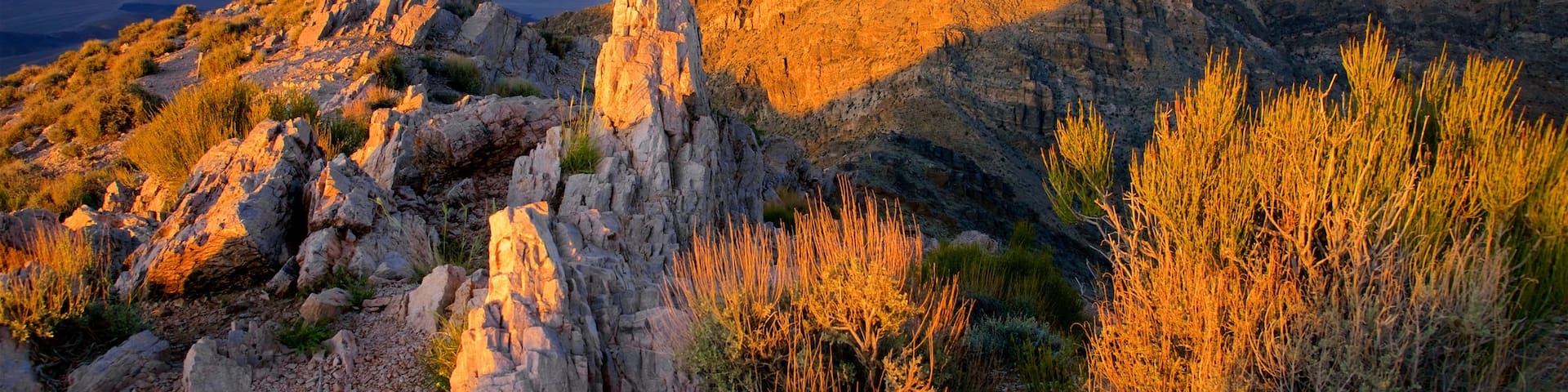 Valle de la Muerte mostrando escenas tranquilas, una puesta de sol y vistas de paisajes