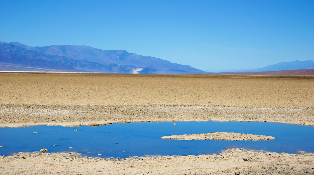 Valle de la Muerte ofreciendo un río o arroyo, vista panorámica y vista al desierto