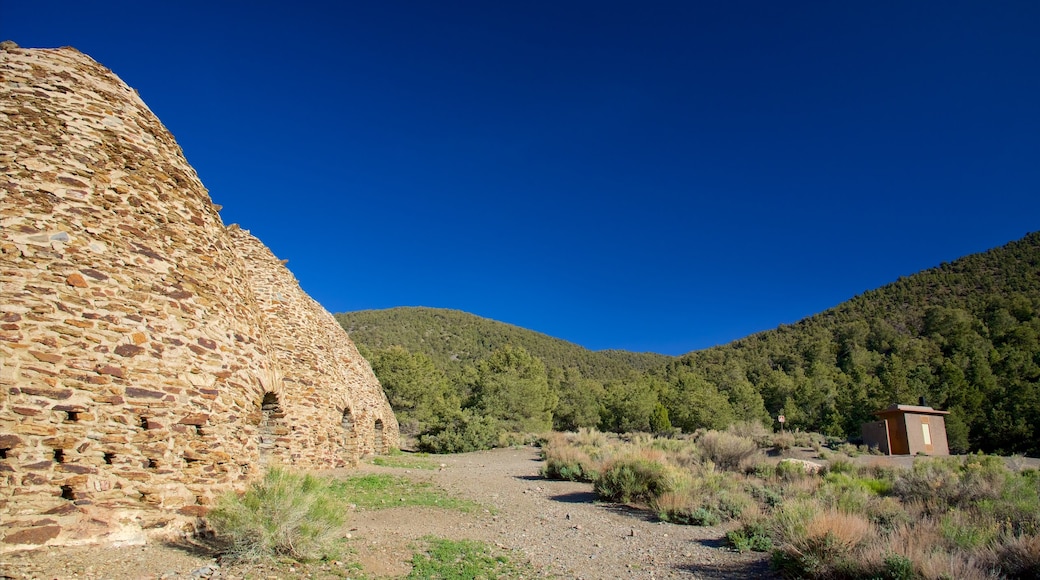 Death Valley som inkluderar stillsam natur, infödd kultur och historiska element