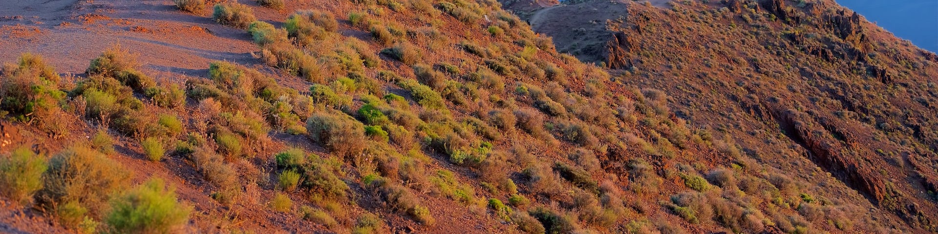 Valle de la Muerte que incluye escenas tranquilas, vistas de paisajes y una puesta de sol
