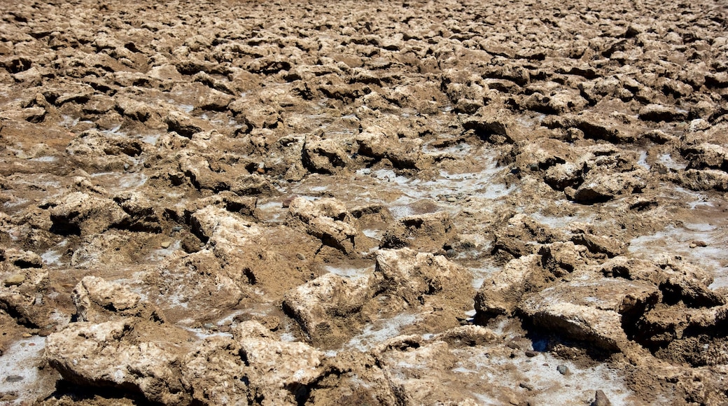 Valle de la Muerte que incluye vista al desierto