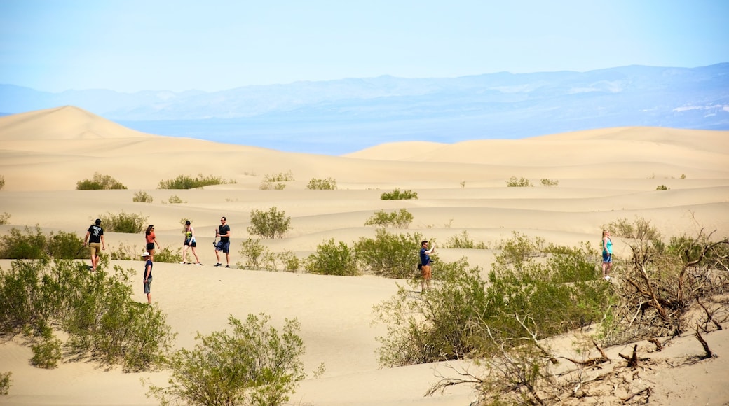 Sanddünen der Mesquite Flat