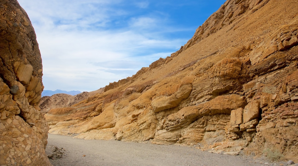 Death Valley showing a gorge or canyon and desert views