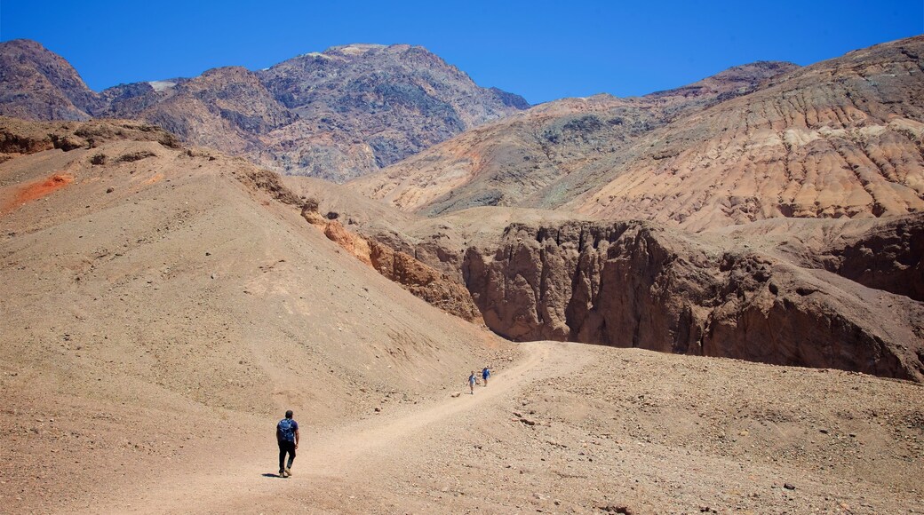 Death Valley presenterar en ravin eller kanjon, vandring och öknar