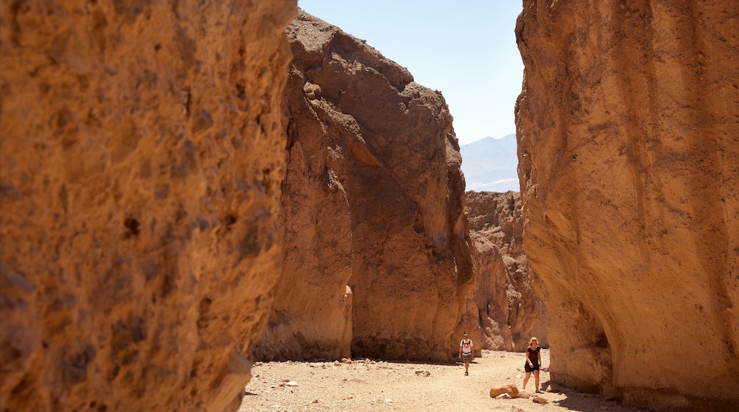 Death Valley som inkluderar öknar och en ravin eller kanjon