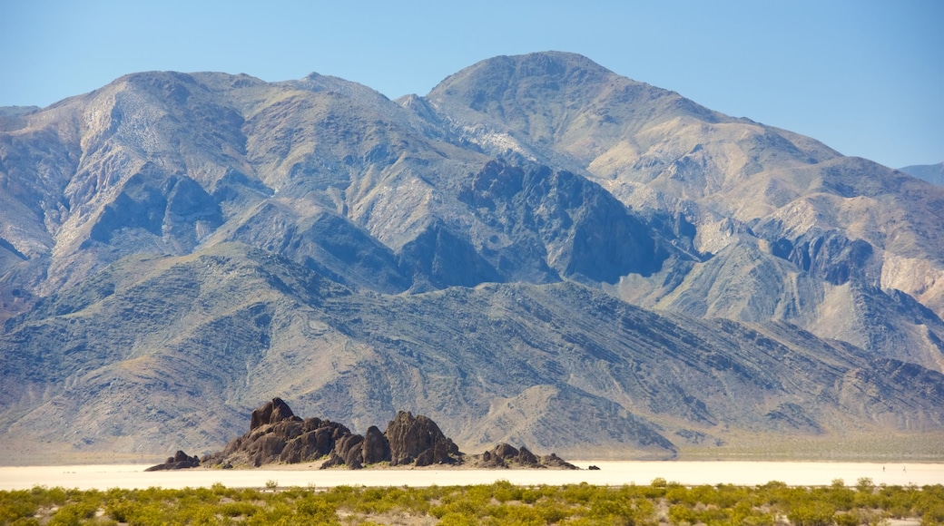 Racetrack Playa montrant montagnes, vues du désert et panoramas