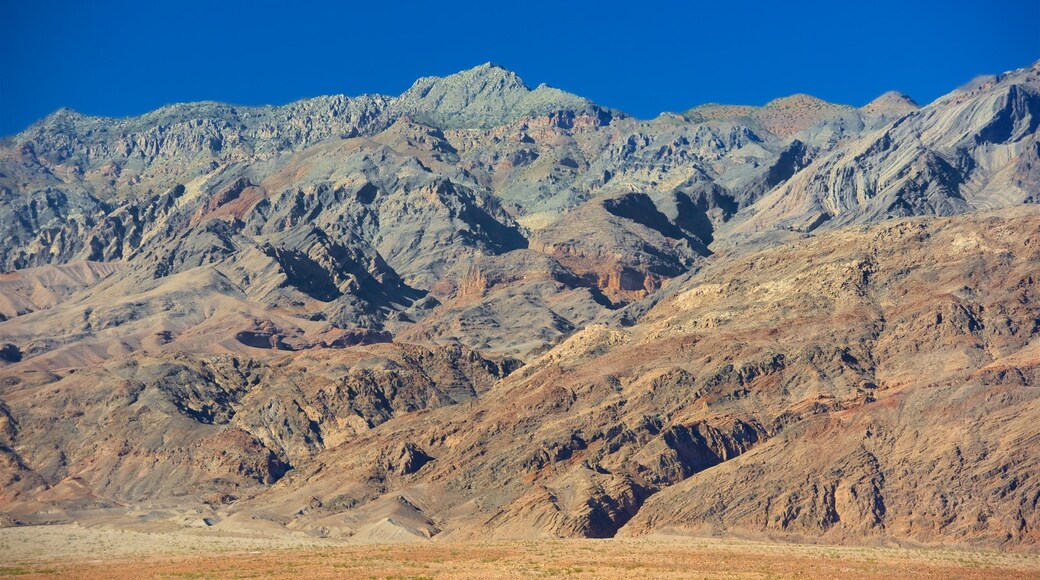 Death Valley featuring desert views and a gorge or canyon