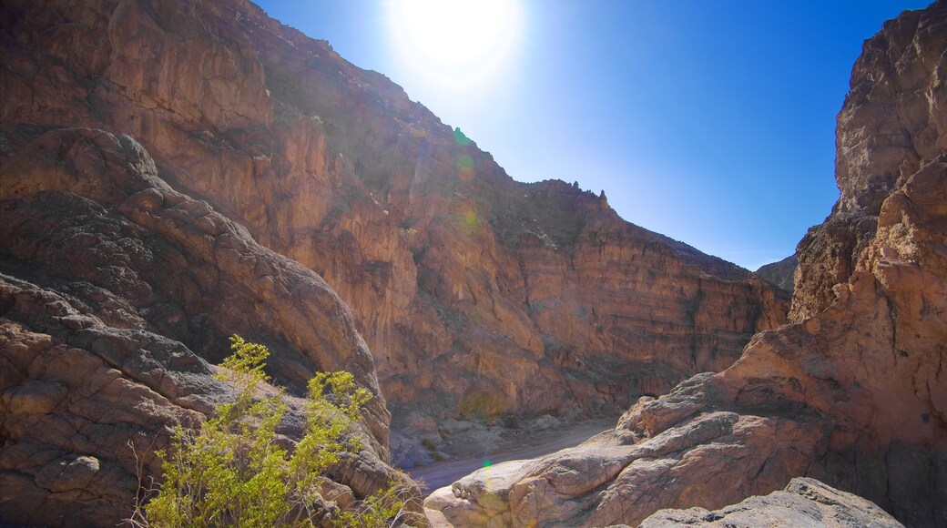 Death Valley which includes a gorge or canyon