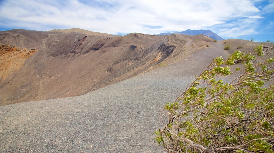 Death Valley toont een kloof of ravijn en vredige uitzichten