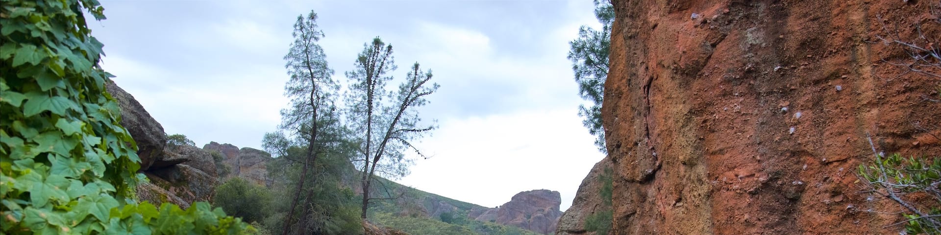 Bear Gulch Caves which includes tranquil scenes