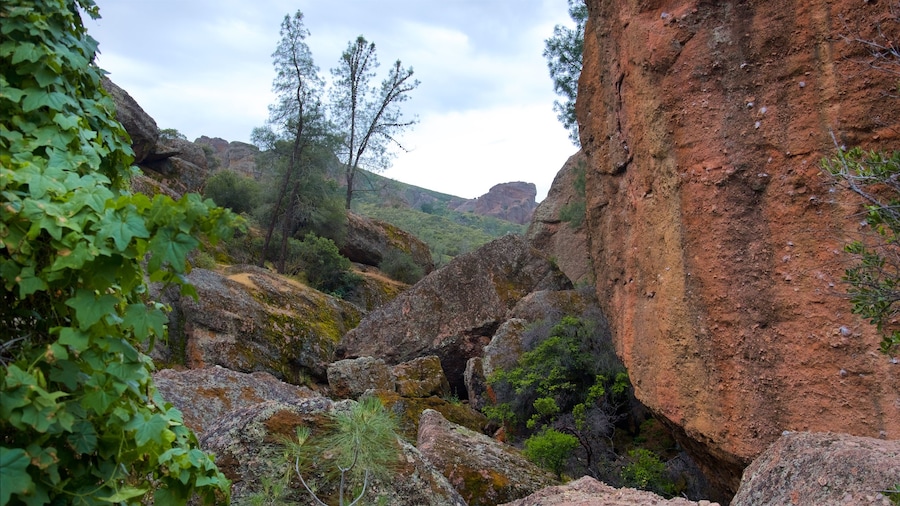 Bear Gulch Caves which includes tranquil scenes