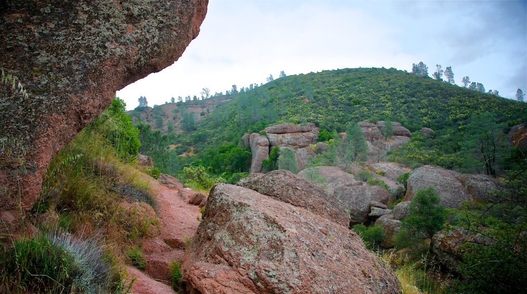 Pinnacles National Park caracterizando cenas tranquilas e um desfiladeiro ou canyon