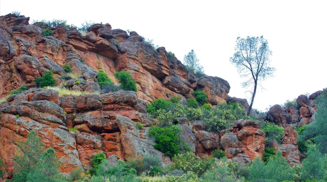 Pinnacles National Park das einen Schlucht oder Canyon