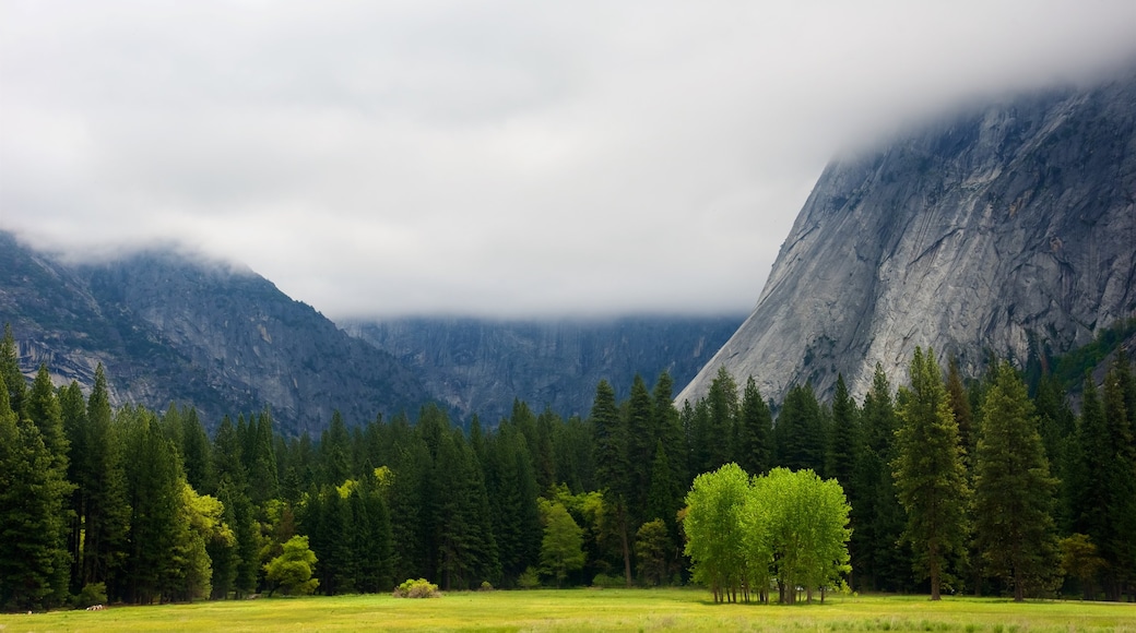 Yosemite National Park which includes mountains, mist or fog and tranquil scenes