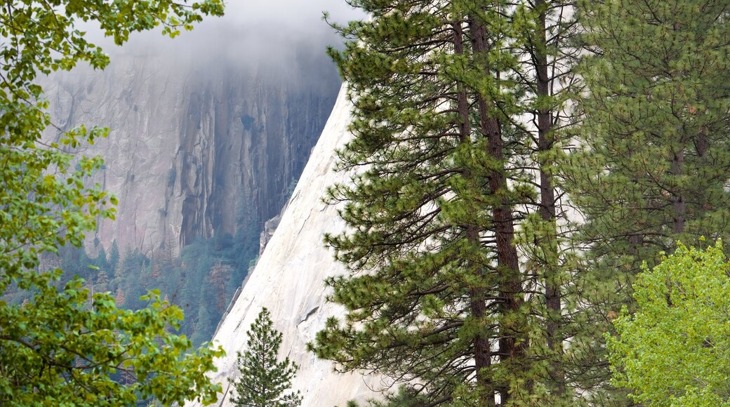 Yosemite National Park which includes mountains