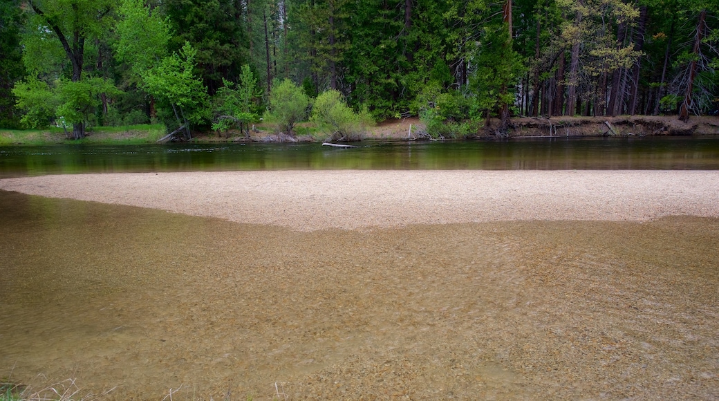 Yosemite National Park showing a river or creek