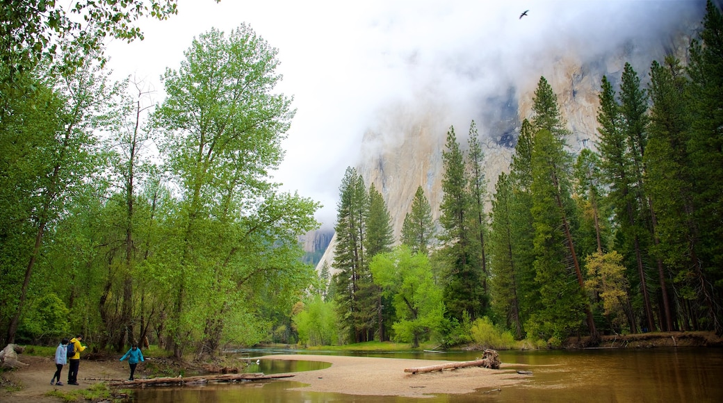 Yosemite National Park som viser skovområder, en flod eller et vandløb og tåge eller dis