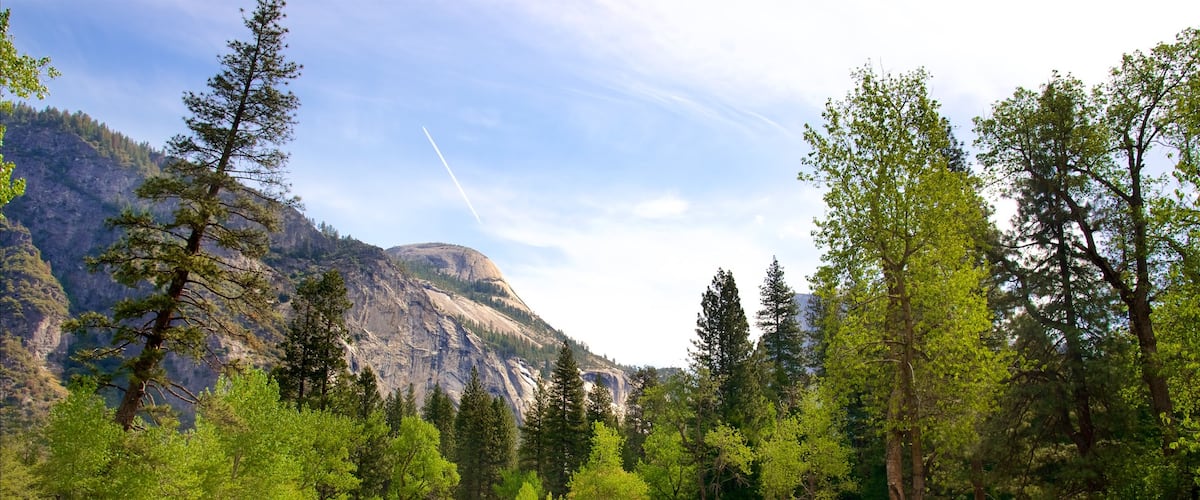 Parc national de Yosemite montrant riviĂšre ou ruisseau, montagnes et scĂšnes tranquilles