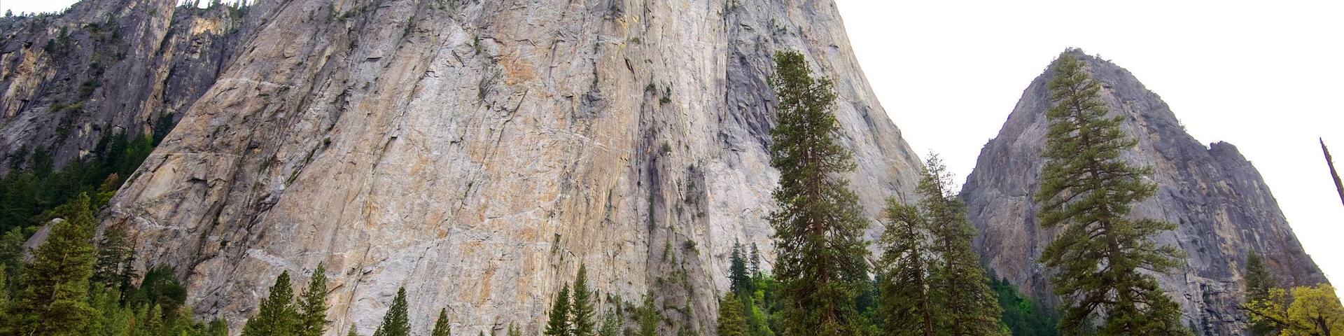 Yosemite National Park featuring tranquil scenes, mountains and landscape views