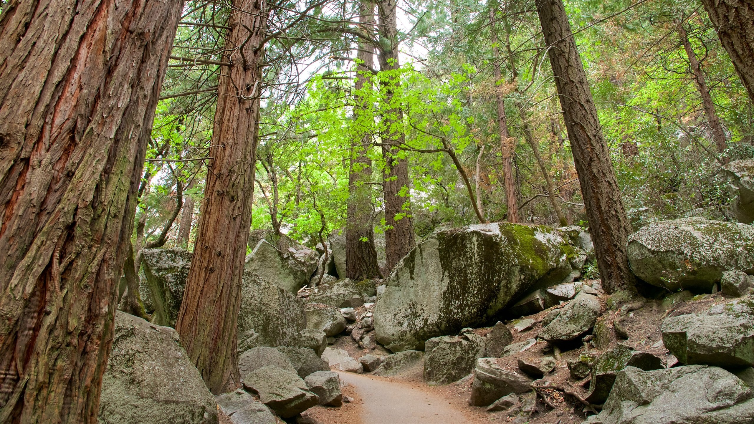 Mist trail best hikes northern outlet california